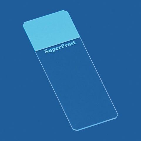 Objectglaasjes SuperFrost blauw geslepen 45° 50 stuks