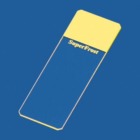 Objectglaasjes SuperFrost geel geslepen 45° 50 stuks
