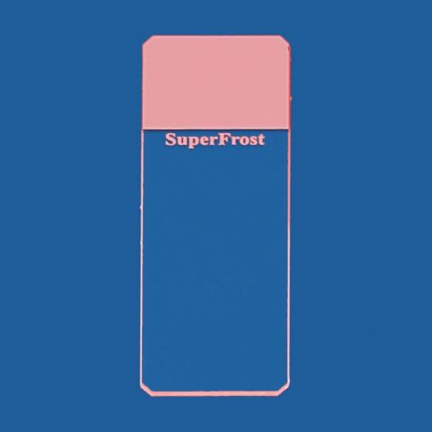Objectglaasjes SuperFrost roze geslepen 45° 50 stuks