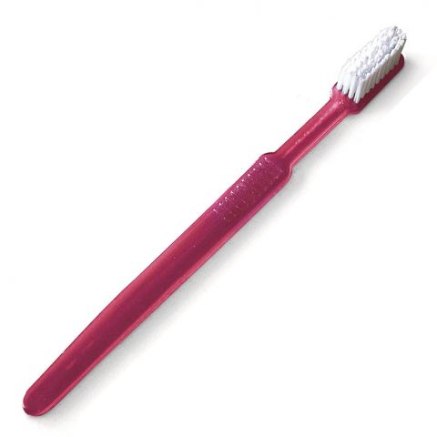 Wegwerp tandenborstels met tandpasta Rood 100 stuks